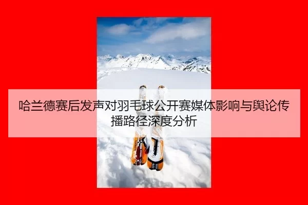 ha-lan-de-sai-hou-fa-sheng-dui-yu-mao-qiu-gong-kai-sai-mei-ti-ying-xiang-yu-yu-lun-chuan-bo-lu-jing-shen-du-fen-xi-2-410.jpg